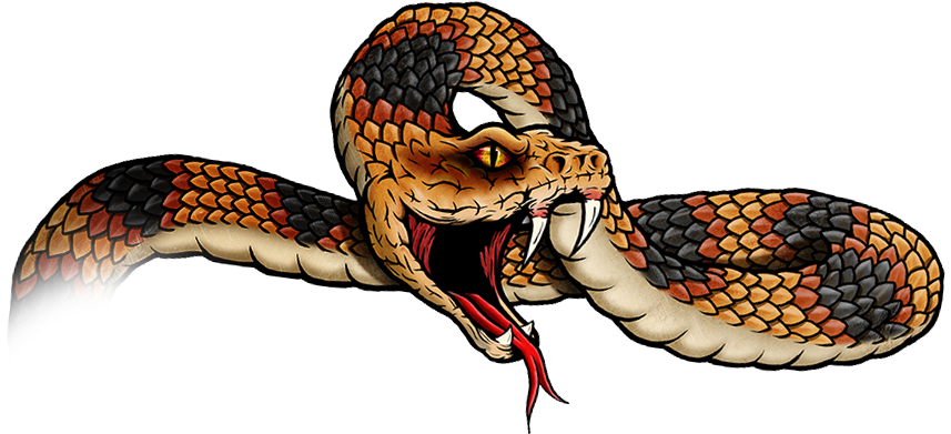 Blackwater drift branding logos. Clipart snake brown snake