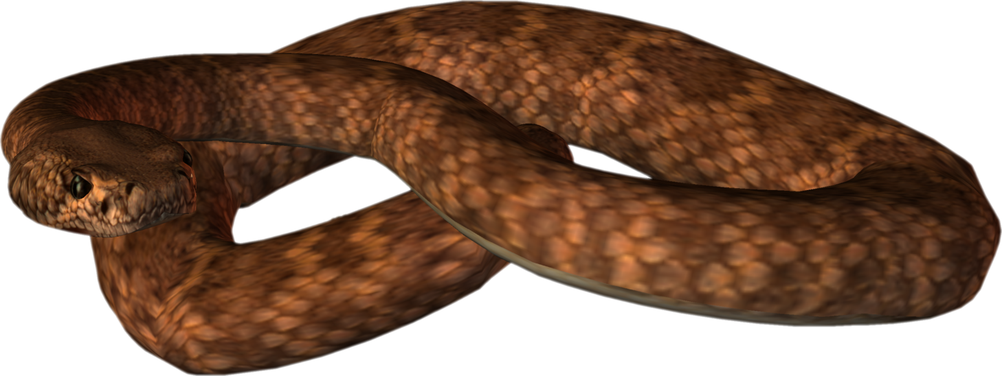Clipart snake brown snake. Png by thoartispixel on