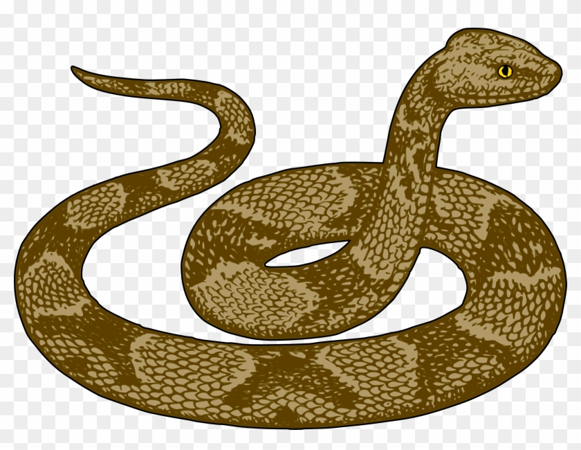 Clipart snake brown snake. Clip art images hd