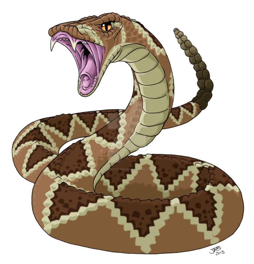 cobra clipart rattle snake line