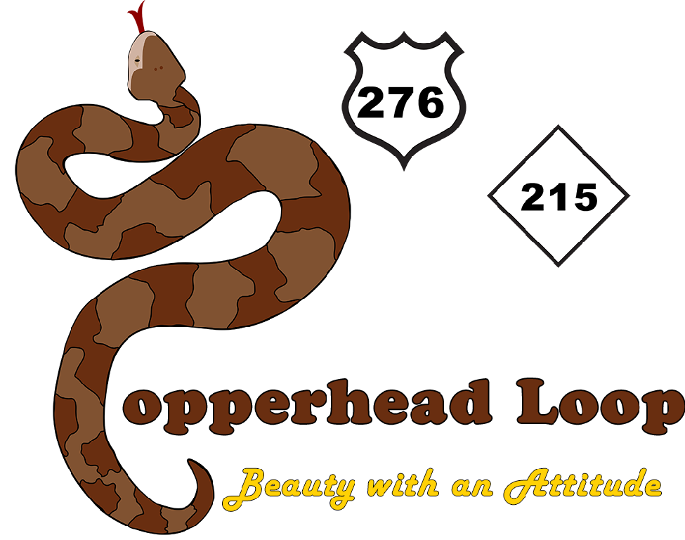 Clipart snake copperhead. The loop mixsee 