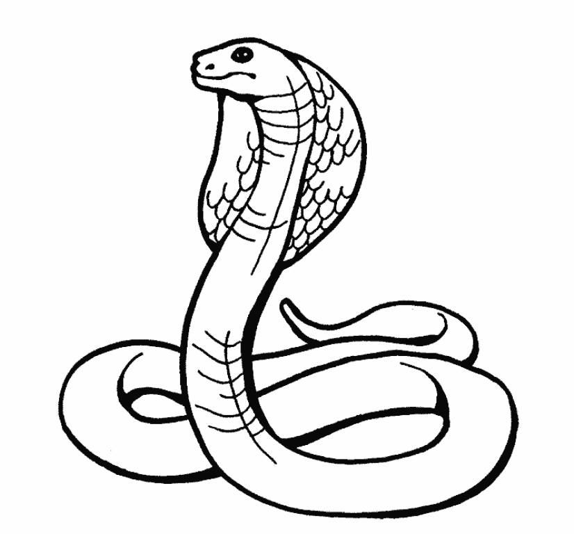 Clipart snake easy. Free drawing download clip
