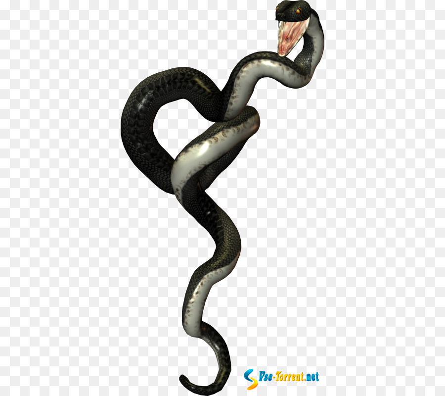 snake clipart file