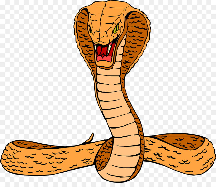 snake clipart food