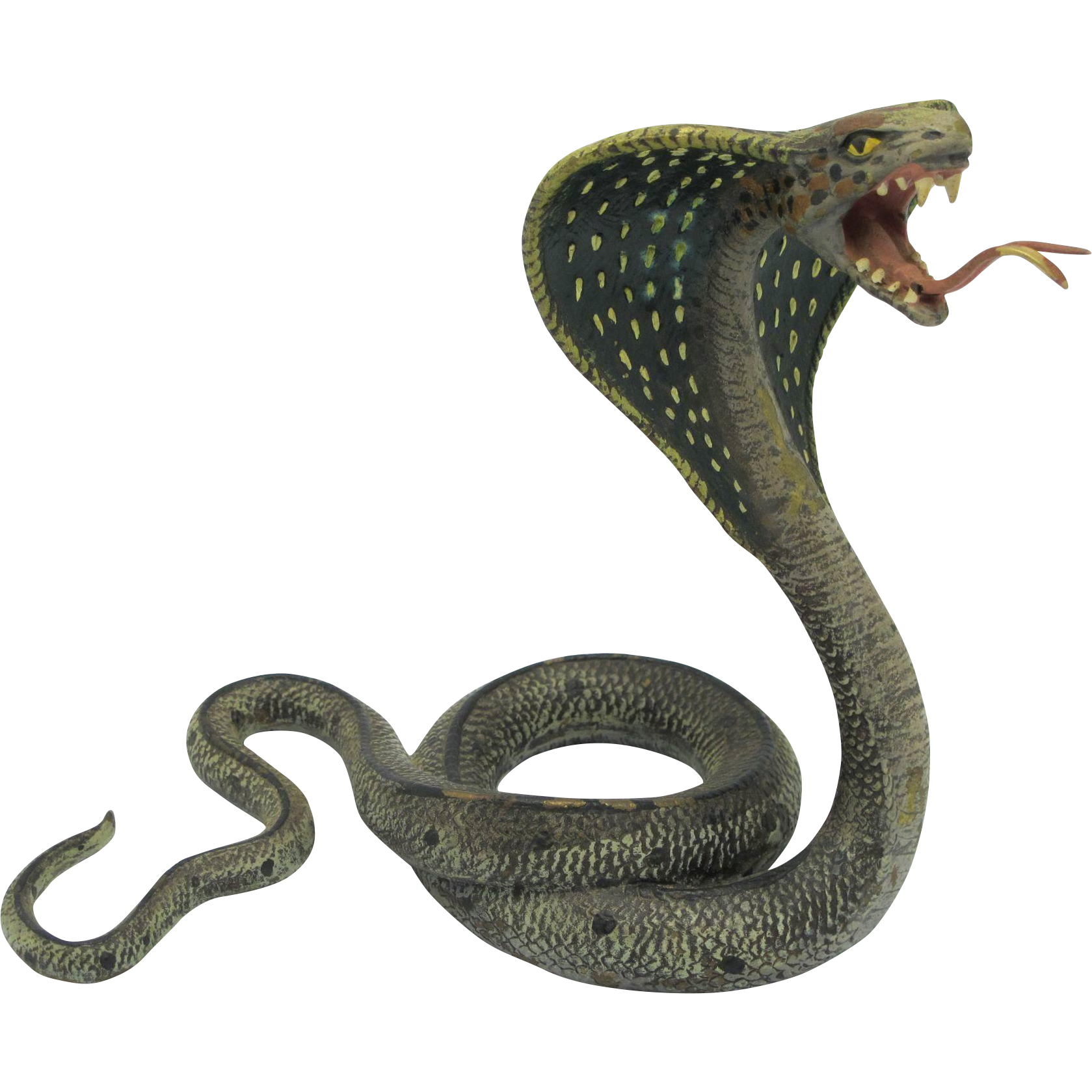 cobra clipart colored