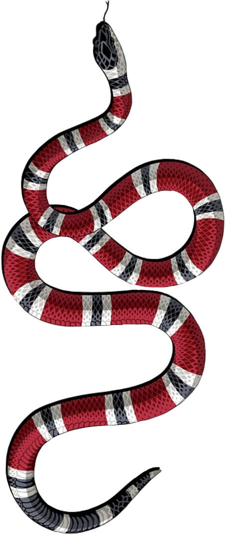 clipart snake king snake