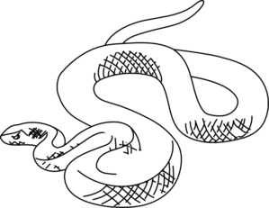 clipart snake outline