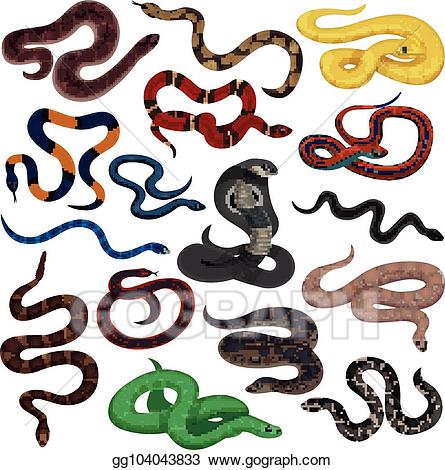Clipart snake poison. Vector art venomous snakes
