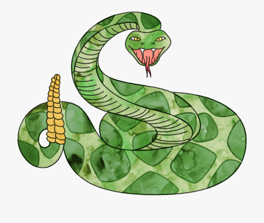 clipart snake rattlesnake