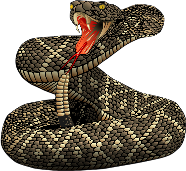 clipart snake rattlesnake
