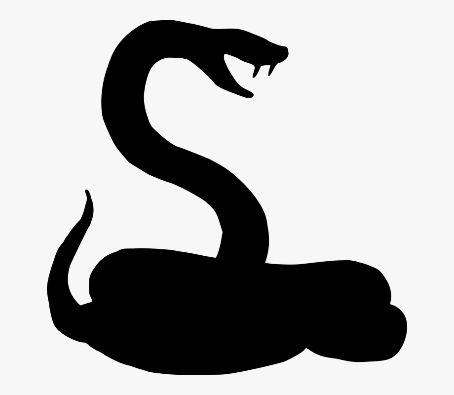 Rattlesnake bull . Snake clipart silhouette