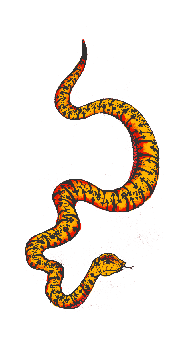 clipart snake stretchy