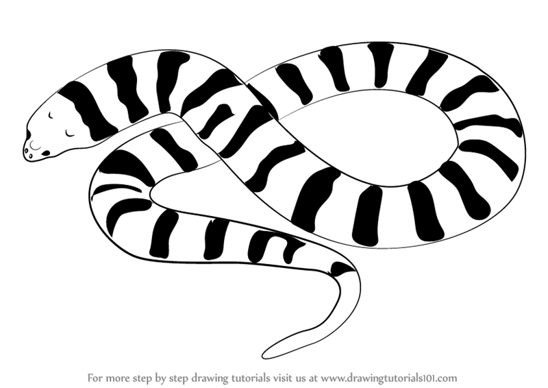 Learn how to draw. Clipart snake tiger snake
