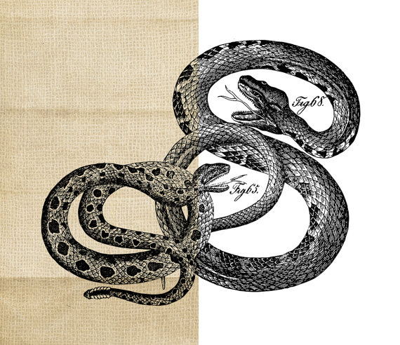 clipart snake vintage