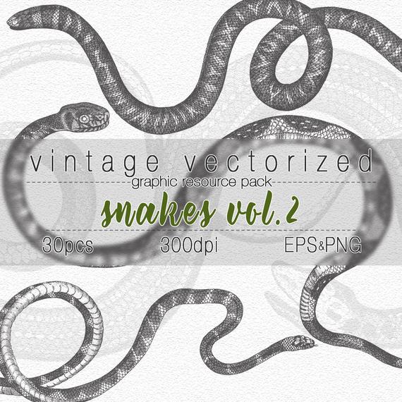 clipart snake vintage