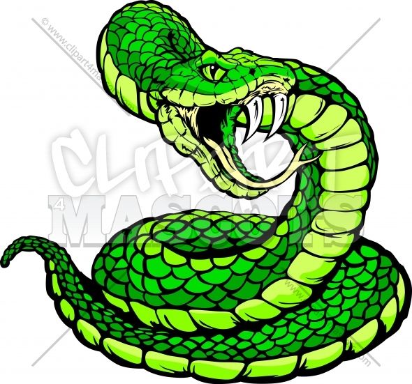 clipart snake viper snake
