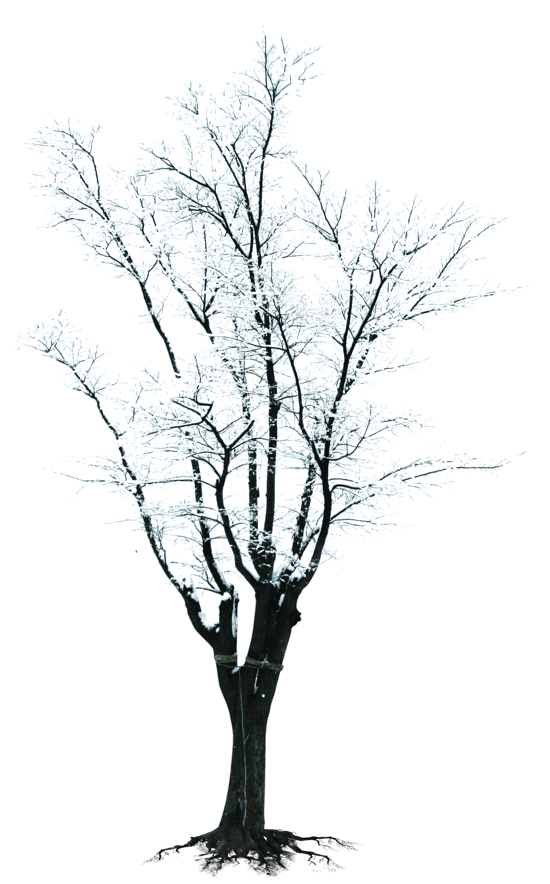 clipart snow black and white