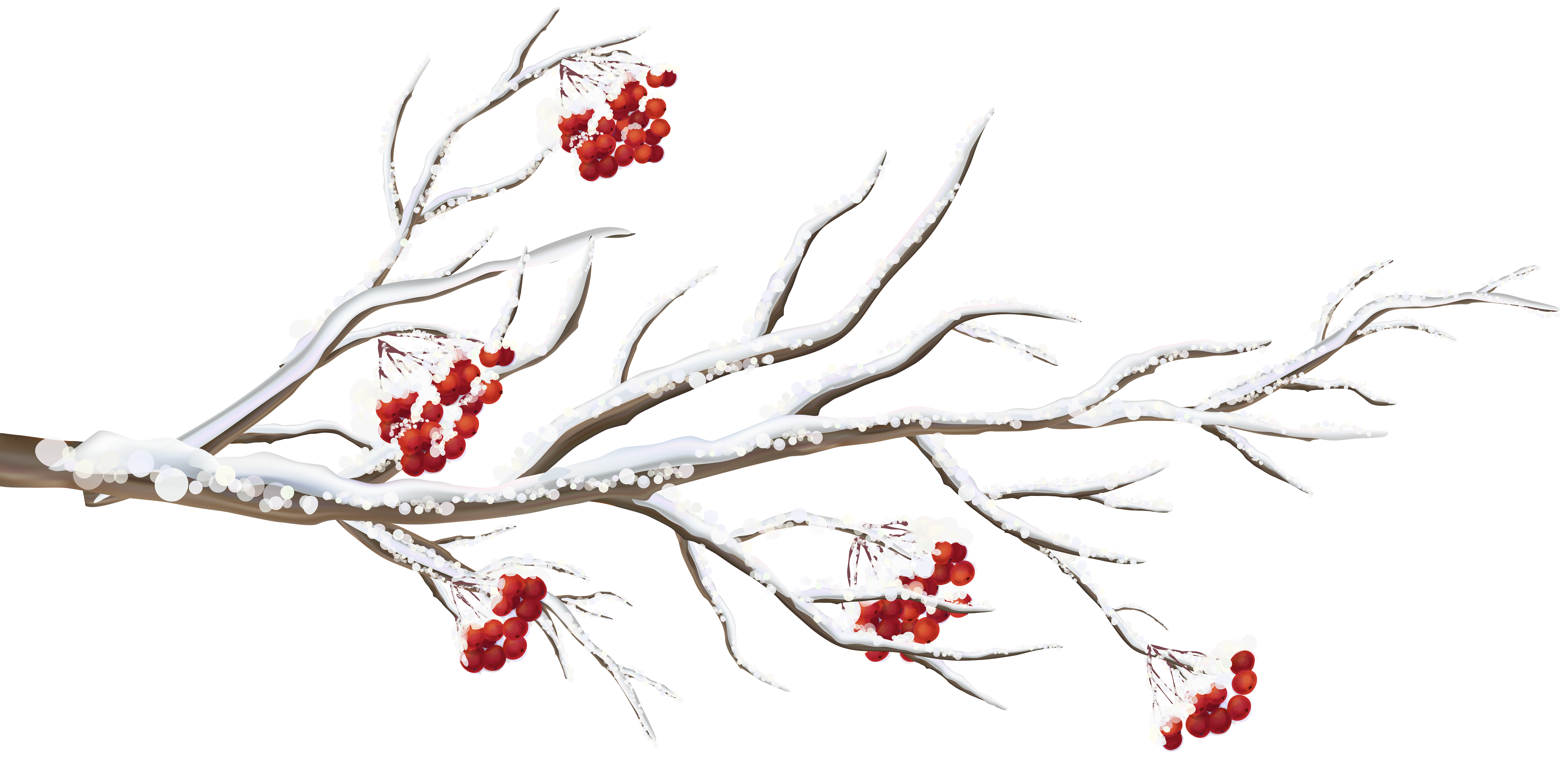 Clipart tree winter. Diagram computer network clip