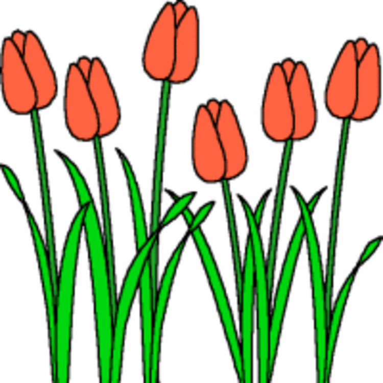 poetry clipart may flower