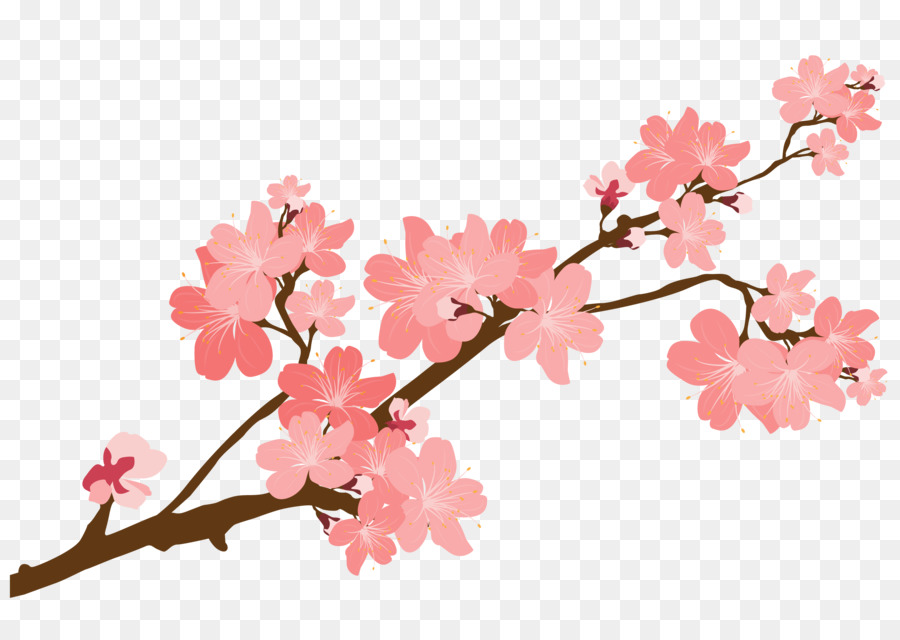 Tree flower . Clipart spring cherry blossom