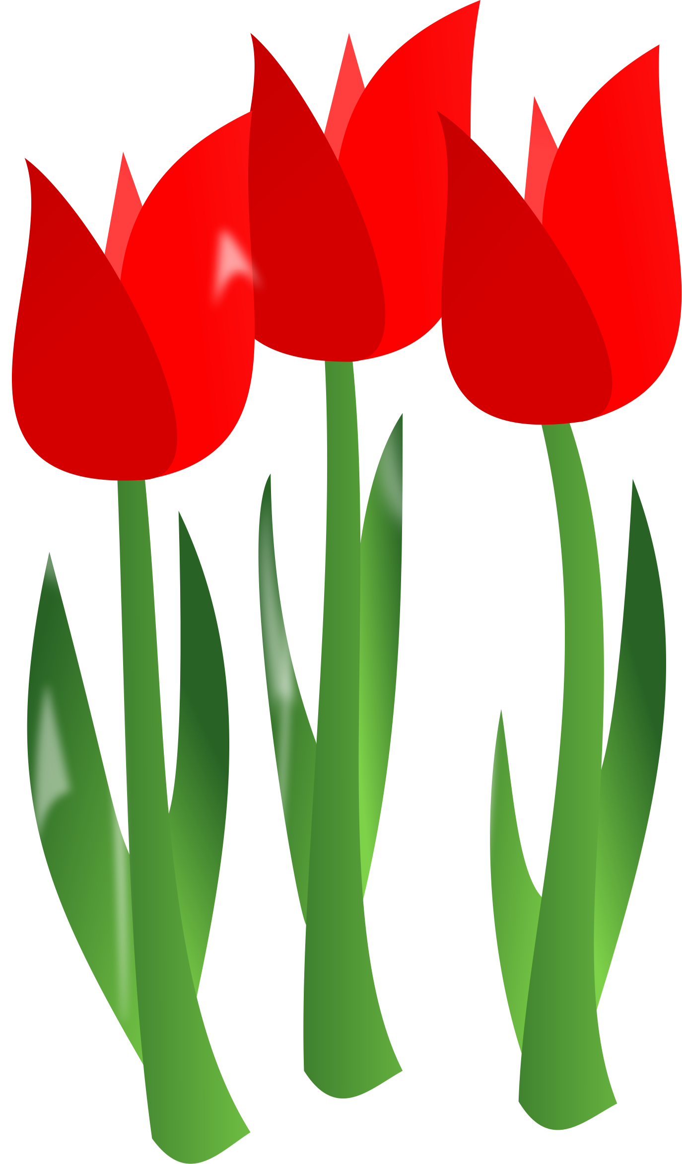 orchestra clipart spring