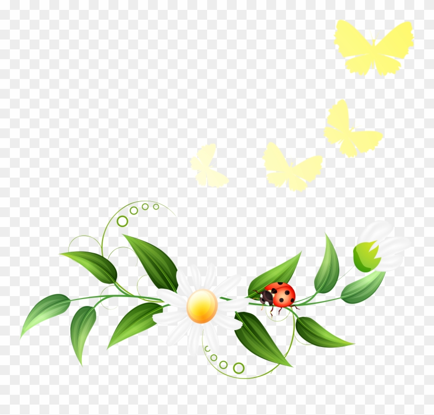 decoration clipart spring
