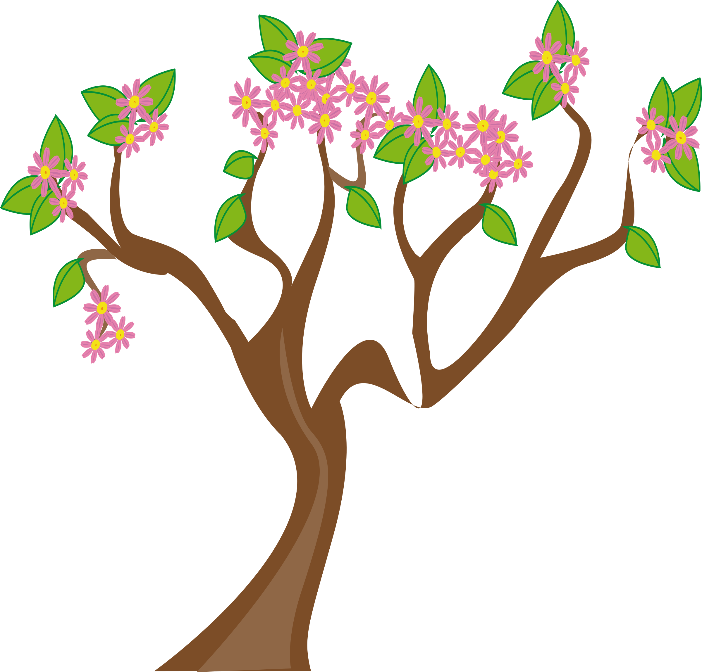 plant clipart spring