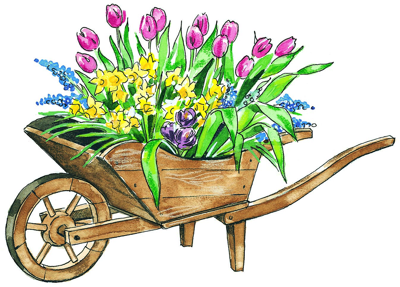 may clipart plant