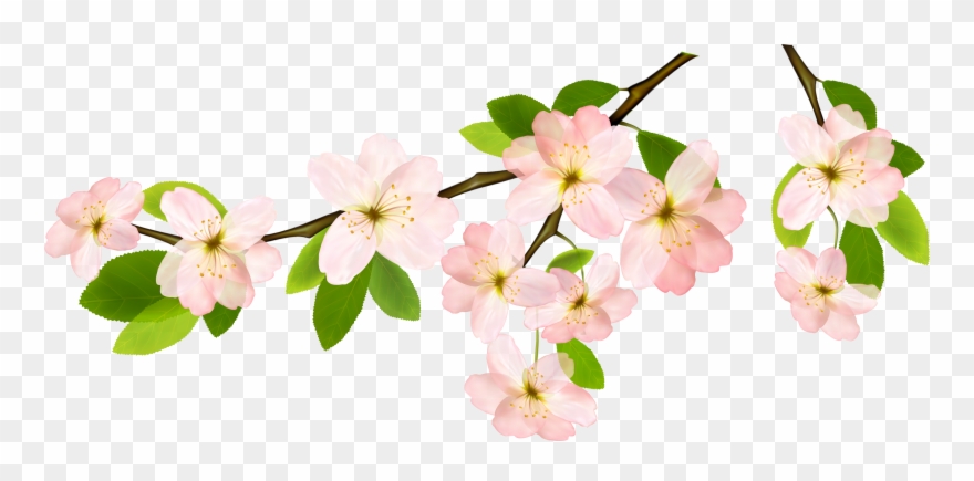 magnolia clipart garland