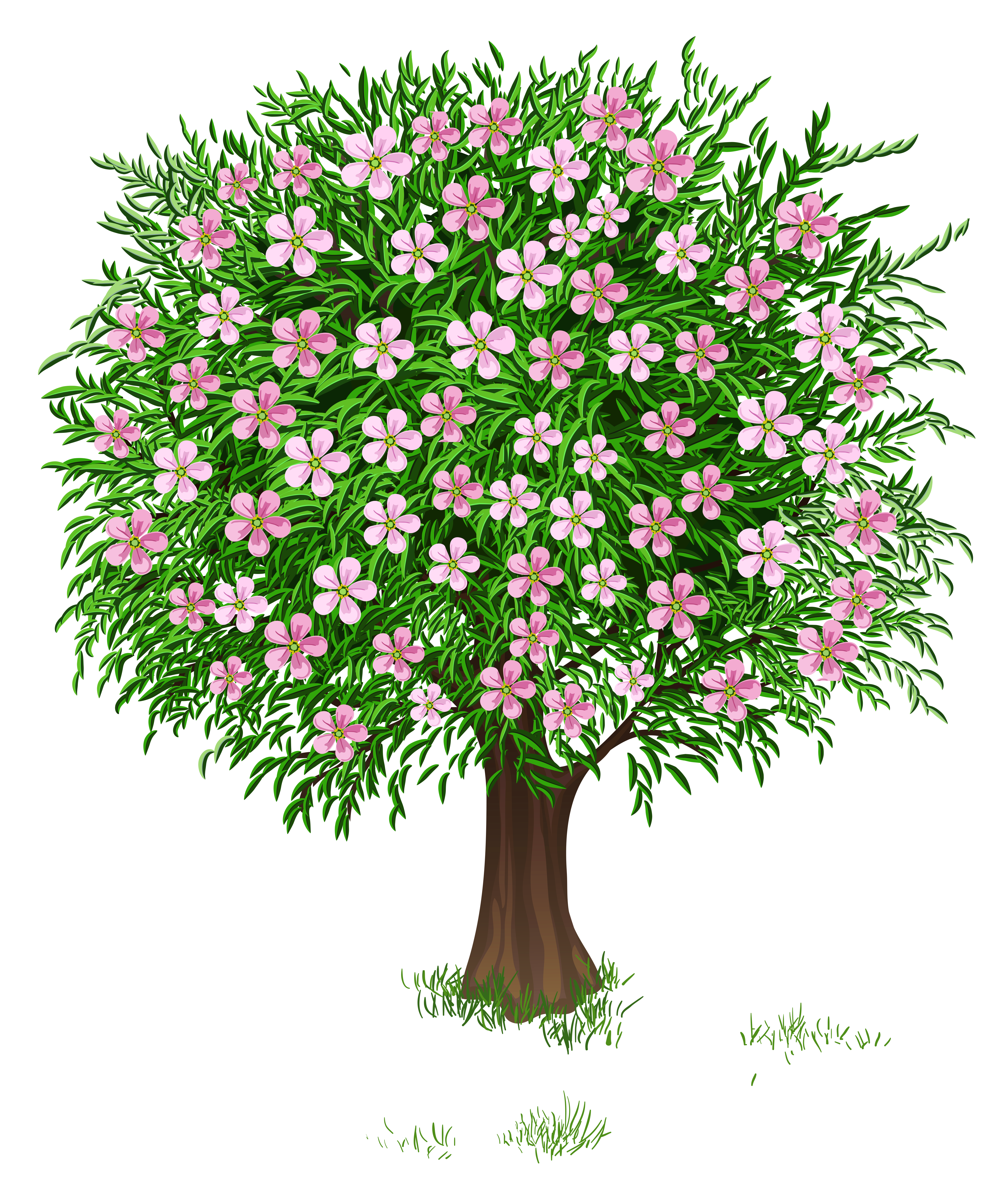 plant clipart spring