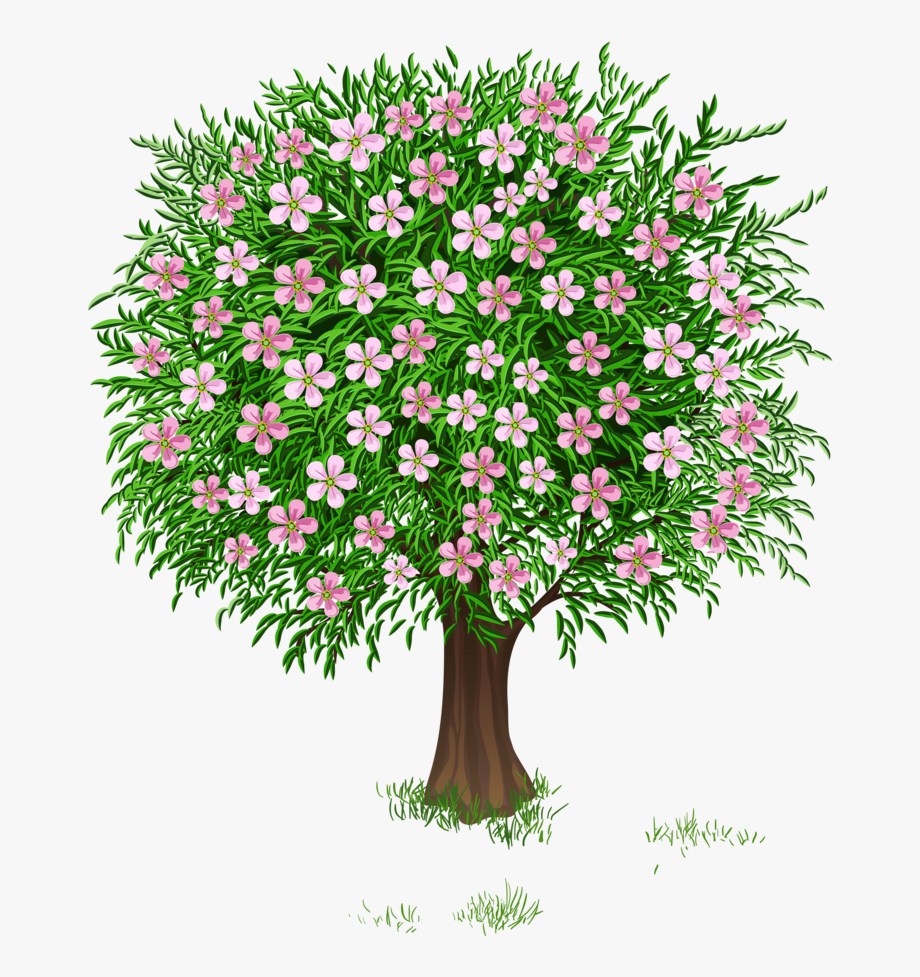 clipart spring tree