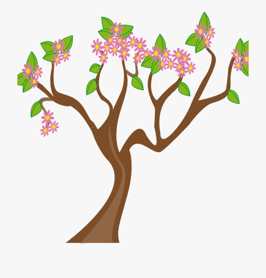 tree clipart spring