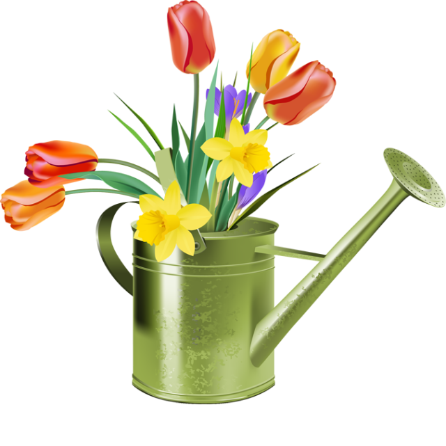 Free tulips cliparts download. Clipart spring tulip