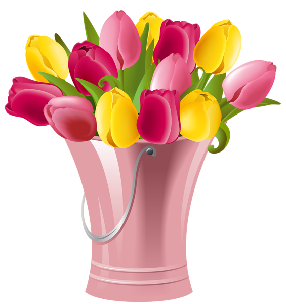 Bucket with tulips transparent. Clipart spring tulip