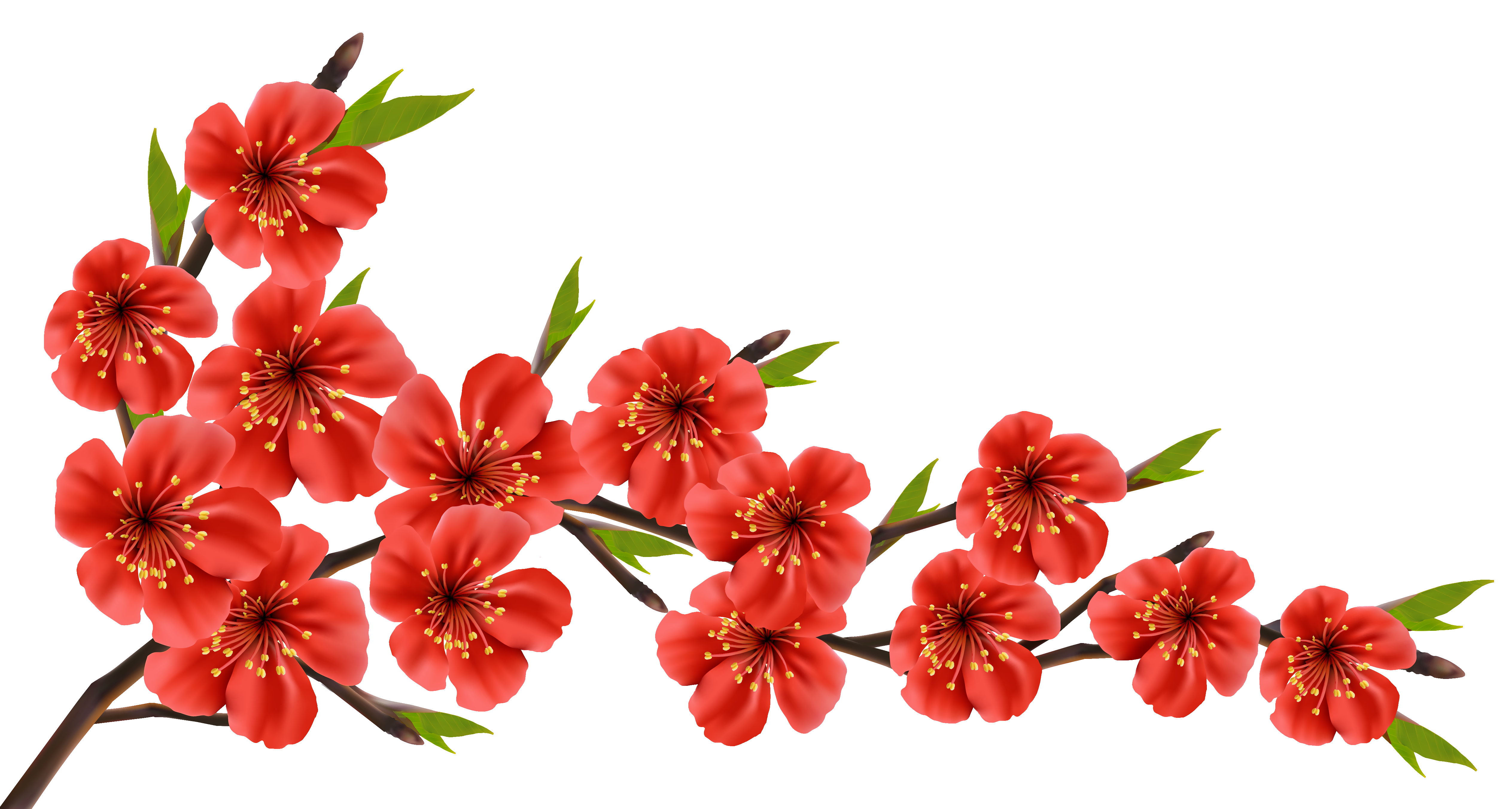 Red spring branch png. Gate clipart organic garden