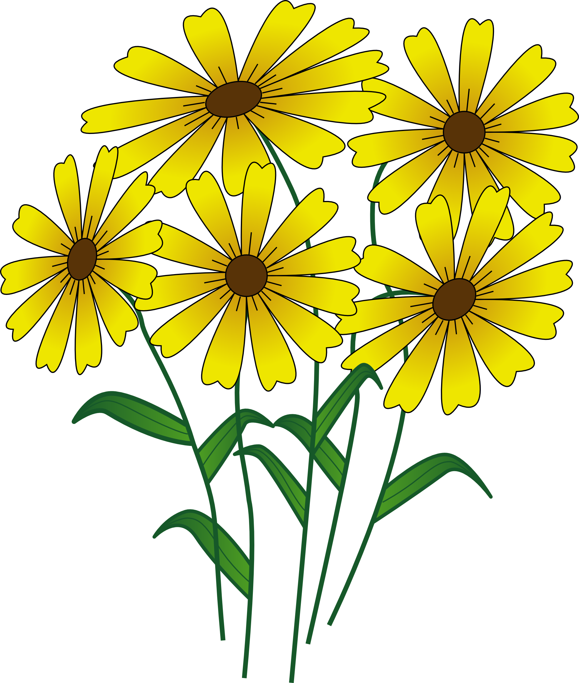 daisies clipart desert flower