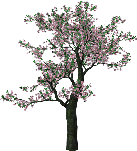 Large tree art pinterest. Clipart spring wire
