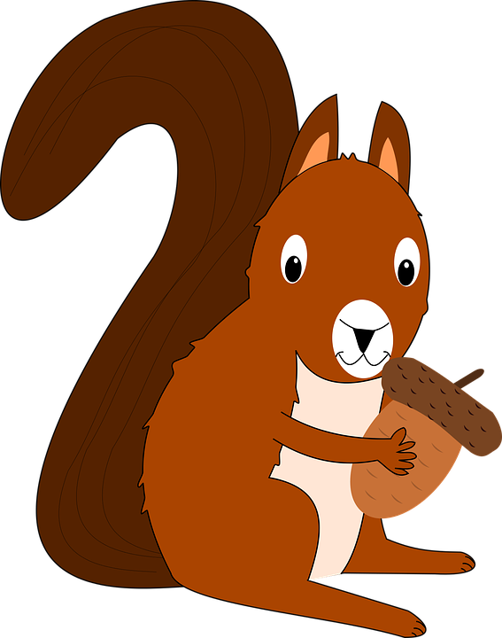 Craft of the week. Clipart squirrel animated