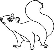 clipart squirrel black and white