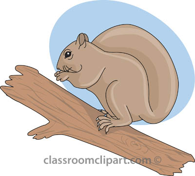 Clipart squirrel branch clipart. Search results for pictures