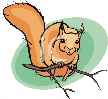 Of a on tree. Clipart squirrel branch clipart