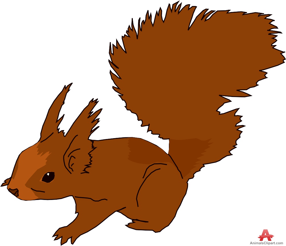 clipart squirrel brown