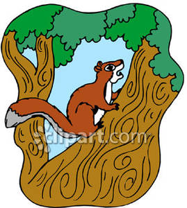 clipart squirrel climbing tree