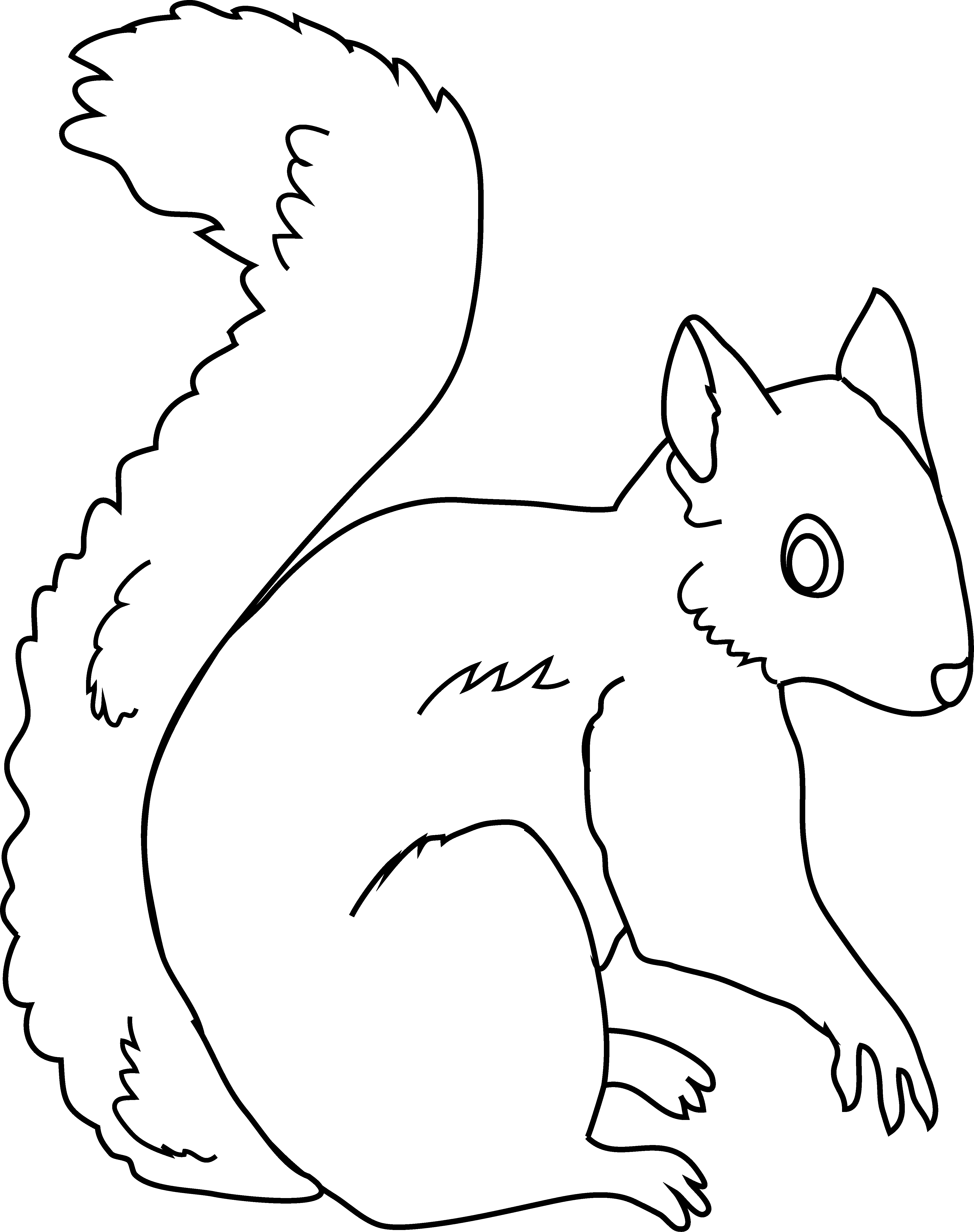 clipart squirrel color