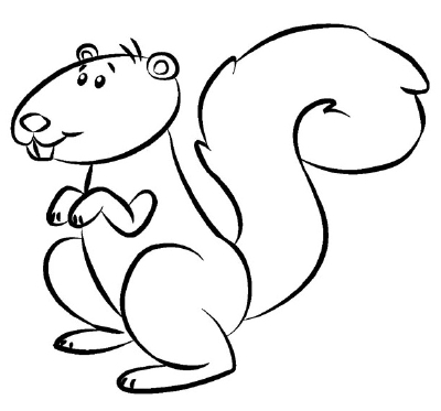 clipart squirrel drawn