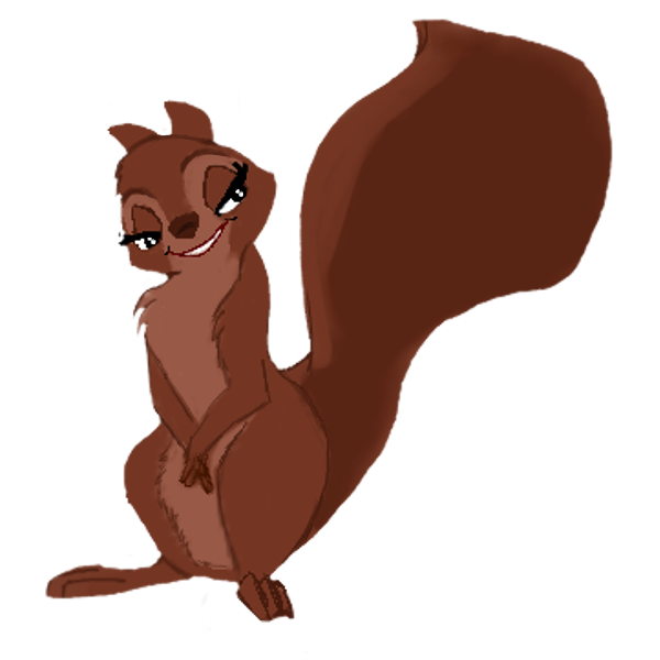 Squirrel female squirrel