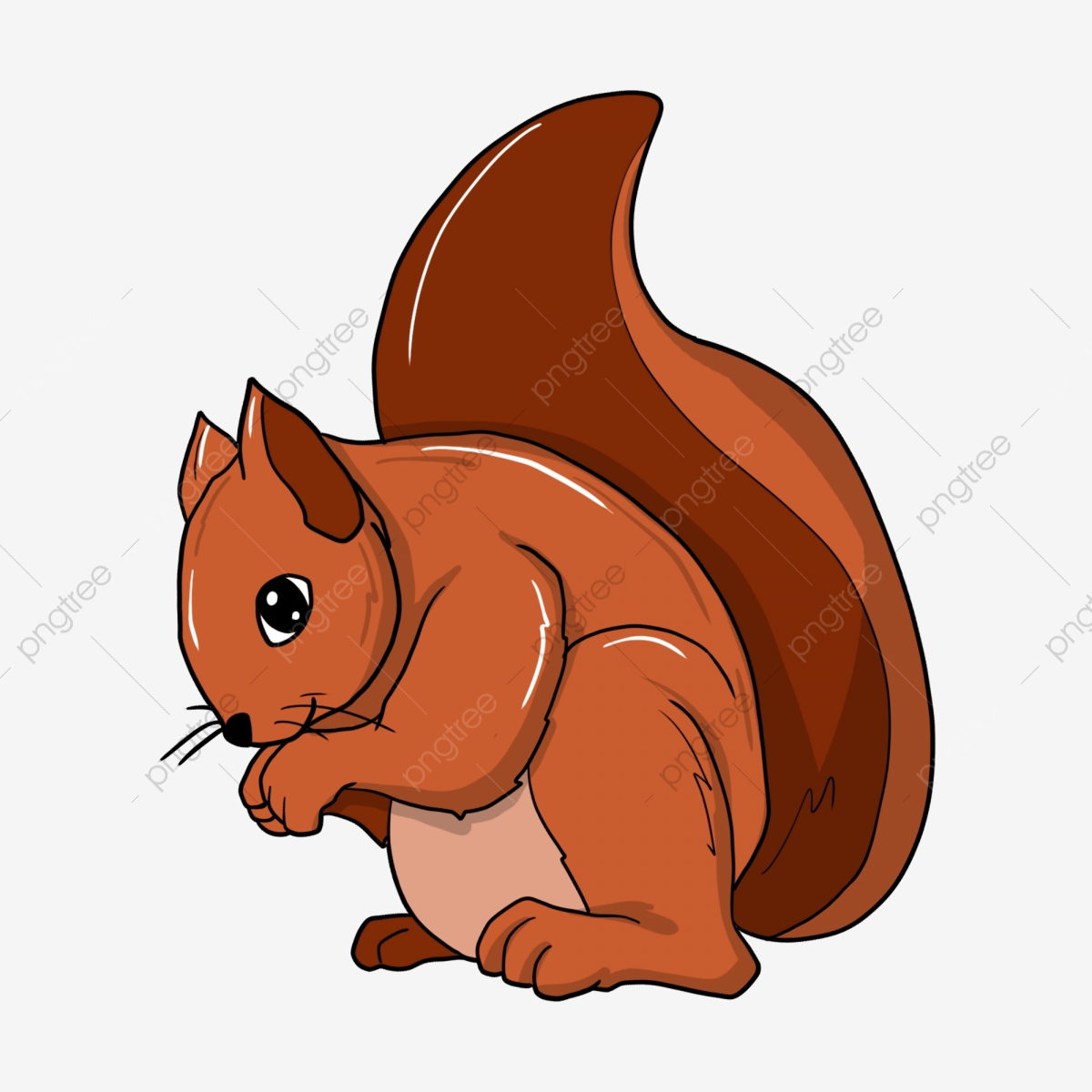 clipart squirrel hand drawn