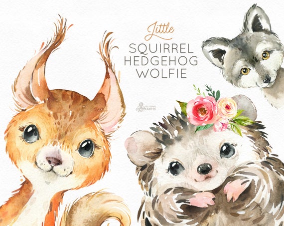 Little wolfie watercolor animals. Clipart squirrel hedgehog
