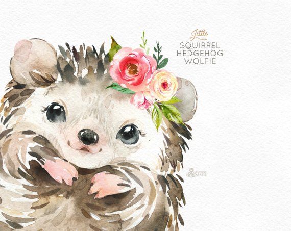 clipart squirrel hedgehog