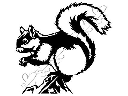 clipart squirrel home